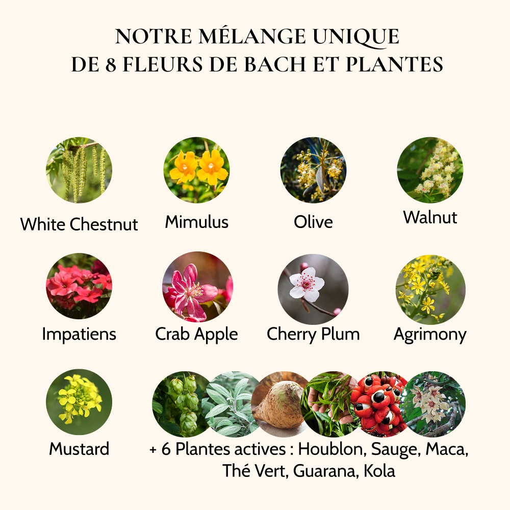 Duo Équilibre Ménopause