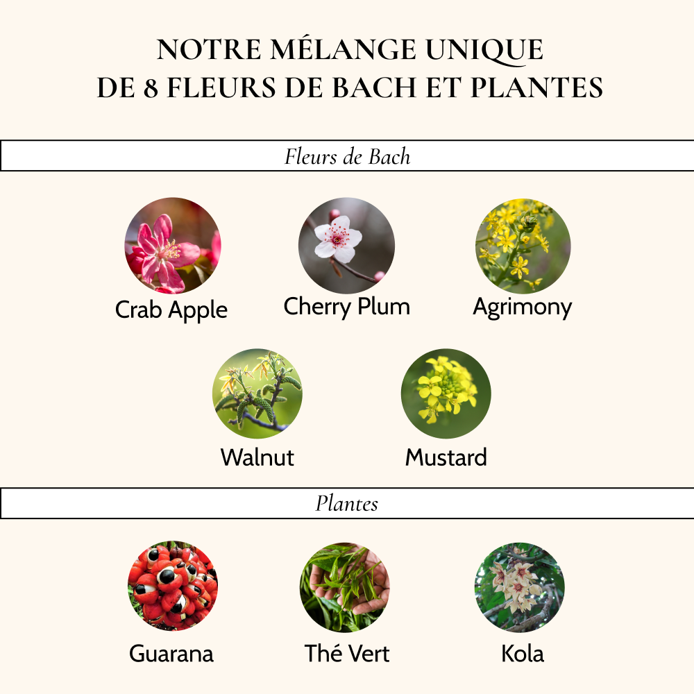 Complexe Fleurs de Bach Minceur