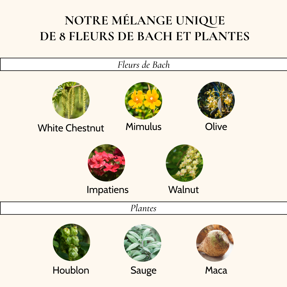 Complexe Fleurs de Bach Ménopause